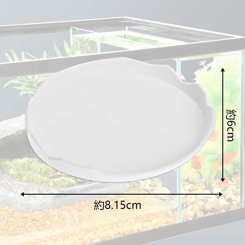 PAVIKE Reptile Water Dish for Reptile Feeding Dish Amphibian Drinking