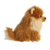 Aurora - Miyoni - Cachorro de Pomerania - 22.86cm.