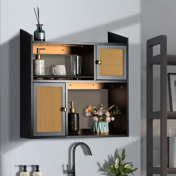 Bloddream Bathroom Cabinet Wall Mounted with Light, Two-Door Adjustable, Toilet