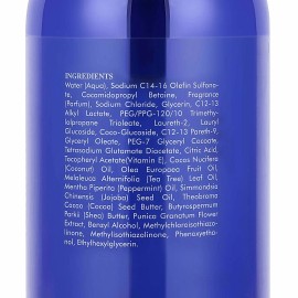 Árbol de té con jabón corporal de menta con vitamina E, botella de 20,2 FL oz (paquete de 2)