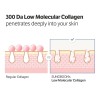 SUNGBOON EDITOR Deep Collagen Anti-Wrinkle Cream In Serum FREE SHIPPING