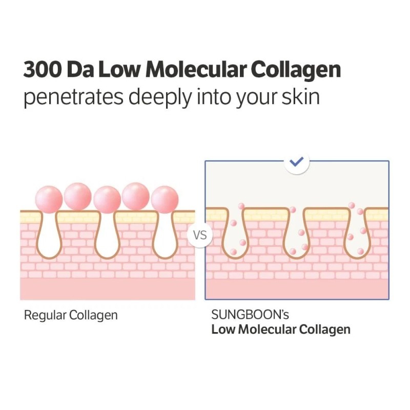 SUNGBOON EDITOR Deep Collagen Anti-Wrinkle Cream In Serum FREE SHIPPING