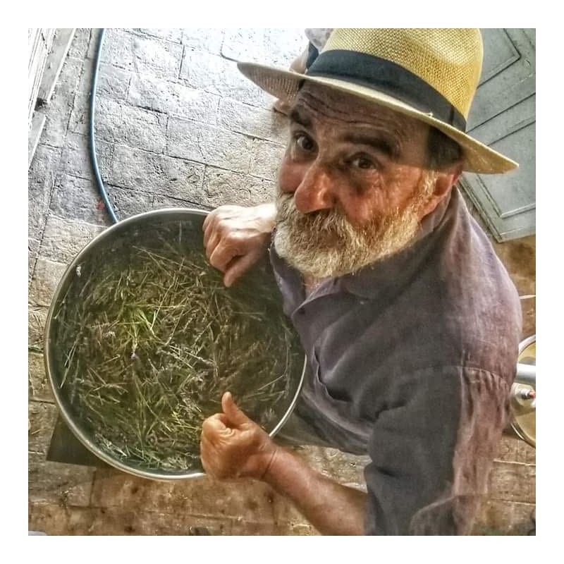 Patchouli Essential Oil - Podere Santa Bianca