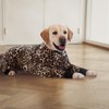 Recovery Suit for Large Medium Dogs After Surgery, Soft Breathable