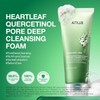 [Anua] Heartleaf Quercetinol Pore Deep Ceanseing Foam 150 ml