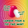 TIC TAC CHEWY! Fruit Adventure Candy, Bulk 12 Pack, Fruit