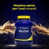 Iso-FUJI® proteine del siero di latte isolate ultrafiltrate - 700