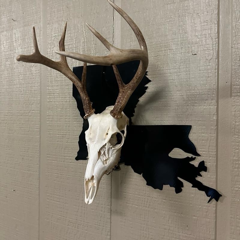 European State Skull Mount hanger - State: Wyoming