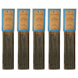 Auroshikha Natural Gum Copal - Incense Sticks (5 Pack, Total 50 Sticks)