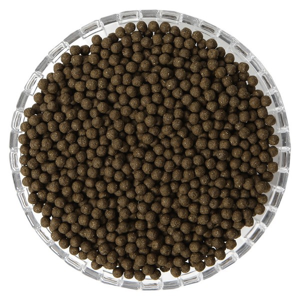Dandelion pill 1.2kg / Health pill using domestic dandelion /
