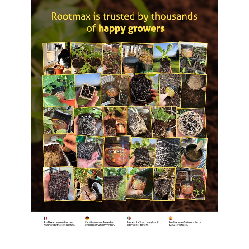 RootMax - Mycorrhizal Fungi (75 g/2.64 oz) | Rooting Powder