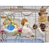 Magnoloran Bird Nest for Cage Bird Breeding Bed Cockatiel Snuggle