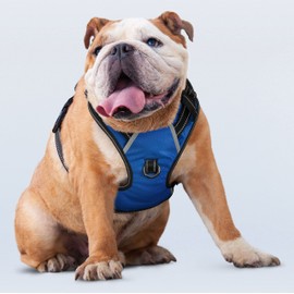 Puwihoe No Pull Dog Harness, Reflective Walking Dog Harness with Easy Control Handle and Front & Back Clips,Adjustable Breathable Soft Padded Dog Vest Harness for Large Medium Small Dogs,Blue,L