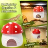 3D Red Mushroom House Reptile Hides and Caves, Reptile Hideout