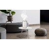 Eternal Living Ultrasonic Cool Mist Humidifier & Essential Oil Diffuser,