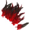 Clockjuan 50 piume rosse naturali per Carnevale Halloween Costume, artigianato,