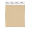 PANTONE Smart 14-1118X Color Swatch Card, Beige