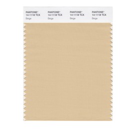 PANTONE Smart 14-1118X Color Swatch Card, Beige