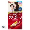 Bigen cream tone hair dye, 6G natural brown, 6 pcs / 비겐 크림톤 염색제, 6G자연갈색, 6개