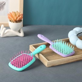 LORSEX Hair Brush, Pack of 2, Detangling Brush for Natural Hair for Tangled, Wavy, Curly Hair (Rose Red Blue + Light Green Purple)