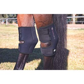 Professional's Choice Theramic Hock Boots | May help to increase blood circulation, reduce inflammation and ease pain |Sold in pairs | Small