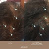 Spectral Men's Hair Density Serum (formerly Spectral.DNC-N) - Lightweight Leave-In