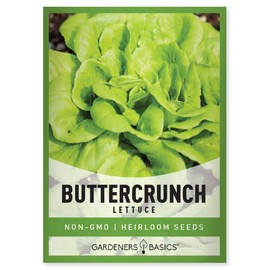 Buttercrunch Lettuce Seeds for Planting - Butterhead Boston Bibb Heirloom, Non-GMO Vegetable Variety- 2 Grams Seeds Great for Spring, Summer, Fall, Winter Garden and Hydroponics by Gardeners Basics