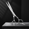 AOLANDUO VG10 Steel Pro Barber and Stylist Hair Cutting Scissors,