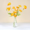 Magic Season Decorative Glass Bottles with Cork Stoppers (350 ml