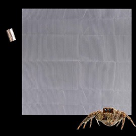 DQITJ 1 Pcs Jumping Spider Climbing Net Enclosure Accessories with 10 Pcs Magnet for Tarantula Insect Praying Mantis Jumping Spider Stick Insect (19.6" L, 19.6" W)