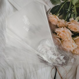 Plastic Sandwich Bags Packaging Container, Clear Triangle Bakery Wrappers for Sandwiches,Easy to Tear (100 Pack)