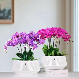 Meshpot 8 inch Orchid Pots with Holes for Repotting,Set of 2,Decorative Orchid Planter with Air-Pruning and Good Air Circulation,Plastic White Orchid Container with Saucers