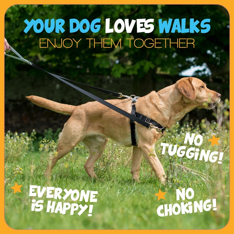 2 Hounds Design - Freedom No-Pull Harness & Training Leash