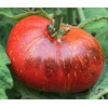 Dark Galaxy Heirloom Tomato Premium Seed Packet
