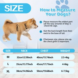 Dog Cooling Vest, Breathable Dogs Cooling Coat, Comfortable Pet Safety Jacket, Summer Dog Vest for Medium Small Pet Dogs Outdoor Hiking Training(Blue) (M)