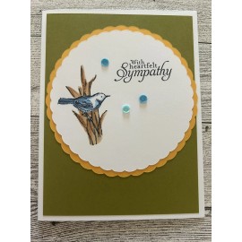 Stampin' Up! Card Set Of 4 Stampin Up With Sympathy Water Color Birds Scallop Circle
