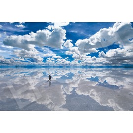 EPOCH 1500 Small Piece Jigsaw Puzzle Uyuni Salt Lake - Bolivia (50x75cm) 15-201s With Glue Spatula Included Tickets