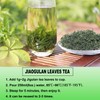 Wild Jiaogulan Tea Leaves, Gynostemma Tea,3.5oz(100g), 100% Natural, Sugar Free,