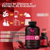 Suplemento En Cápsula Natural Smartnutrition Extracto De Arándano De Urinary