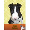 English Bull Terrier Birthday Card