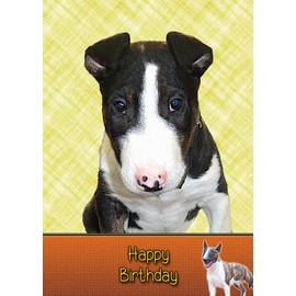 English Bull Terrier Birthday Card