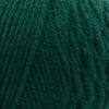 RED HEART Super Saver 3-Pack Yarn, Hunter Green 3 Count