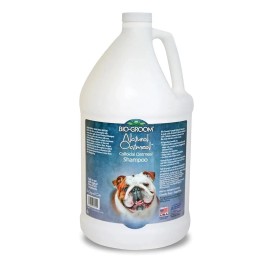 MPP Natural Oatmeal Soothing Dog and Cat Shampoo Dry Irritated Skin Anti Itch - Gallon