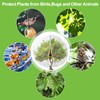 13.1 x 9.8 ft Large Tree Nets for Fruit Trees
