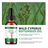 Aceite Cyperus Rotundus Natural Reducción Vello Corporal