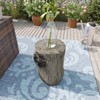 AQUILLA Rustic Stump Side Table, Light Grey Wood-Look End Table,