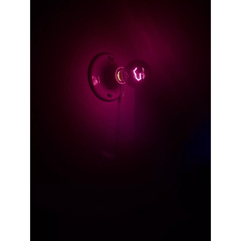 Momentum Brands 3 Pack BLACK LIGHT Bulbs A19 120V 75W