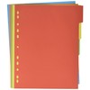 Pagna 32004 20 Register A4 XXL, 5 colours