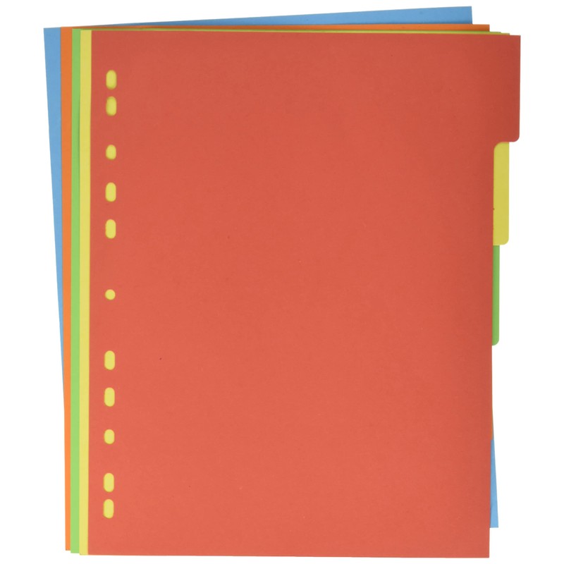 Pagna 32004 20 Register A4 XXL, 5 colours