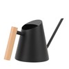 Watering Can with Long Spout 800ml Stainless Steel Matte Indoor